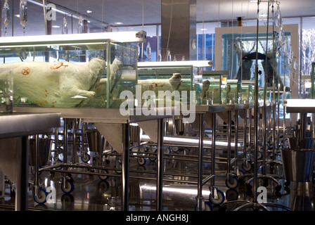 La scuola di Archeologia di perso desideri comprendere infinito e la ricerca della conoscenza dell'artista Damien Hirst Foto Stock