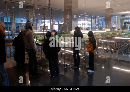 La scuola di Archeologia di perso desideri comprendere infinito e la ricerca della conoscenza dell'artista Damien Hirst Foto Stock