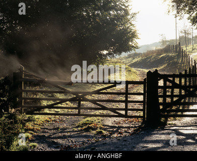 L'accesso AL CANCELLO DI CAMPAGNA A CINQUE BAR AL circuito della fattoria è stato illuminato dal sole della mattina presto in autunno. Devon Inghilterra Gran Bretagna Foto Stock