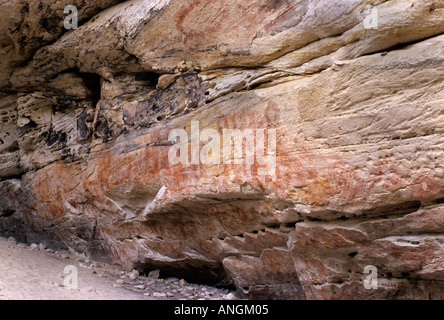 Dipinti rupestri aborigeni, Carnarvon National Park, Queensland, Australia Foto Stock