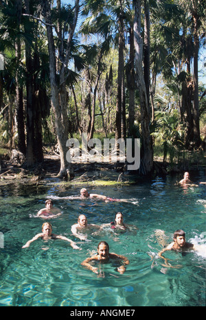 La gente di nuoto, sorgenti termali naturali. Bitter Springs Facility, Elsey, il Parco Nazionale del Territorio del Nord, l'Australia. Foto Stock