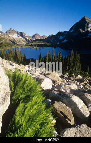 Gwillim laghi, Valhalla Parco Provinciale, British Columbia, Canada. Foto Stock