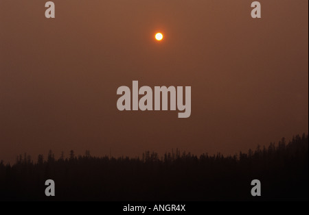 Sun crea scena extraterrestre a causa del fumo da incendi boschivi, il Glacier National Park Montana USA Foto Stock