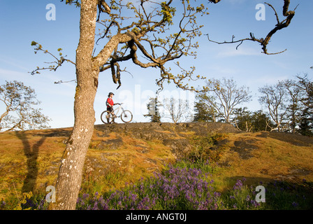 Una donna mountain bike nei pressi di Victoria, l'isola di Vancouver, British Columbia, Canada. Foto Stock