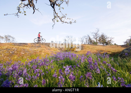 Una donna mountain bike nei pressi di Victoria, l'isola di Vancouver, British Columbia, Canada. Foto Stock