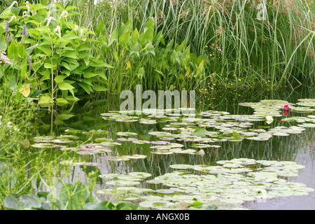 Luogo di riposo per un eroe DESIGNER AILEEN SCOULAR Hampton Court Palace SHOW 2005 Foto Stock