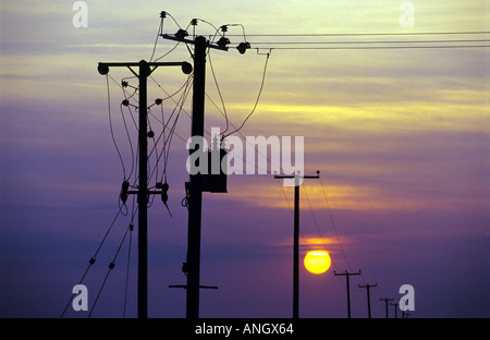 Tre-il polo di fase-elettrici montati trasformatore abbassatore, traghetto Bawsey paludi, Suffolk, Regno Unito. Foto Stock