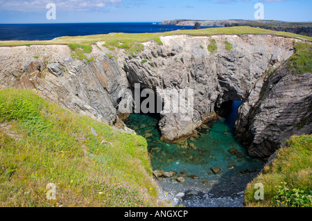 Archi e grotte marine nel dungeon Parco Provinciale, Cape Bonavista, Bonavista Penisola, sentiero di scoperta, Bonavista Bay, Newfoundla Foto Stock