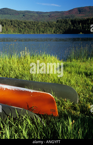 Canoe sulla riva del lago Olandese, Clearwater, British Columbia, Canada. Foto Stock