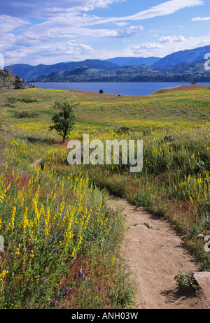 Sentiero escursionistico in Skaha Bluffs sopra il Lago Skaha vicino a Penticton, British Columbia, Canada. Foto Stock