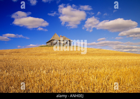 La vecchia casa colonica vicino Fairholme, Saskatchewan, Canada. Foto Stock