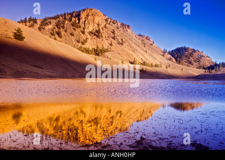 Il tasso di abbandono Creek Area Protetta, British Columbia, Canada. Foto Stock