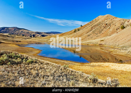 BC praterie, Churn Creek Area, British Columbia, Canada. Foto Stock