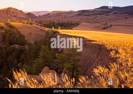 BC praterie,Churn Creek Canyon, British Columbia, Canada. Foto Stock