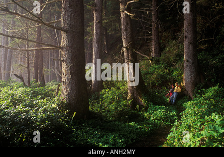 Gli escursionisti in una vecchia foresta, West Coast Trail., Pacific Rim National Park, l'isola di Vancouver, British Columbia, Canada. Foto Stock