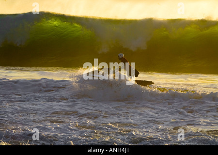 Bagnino di salvataggio spiaggia Zuma Malibu California Los Angeles County California Stati Uniti MR Foto Stock