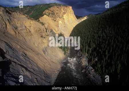 Antenna della Stikine River, British Columbia, Canada. Foto Stock