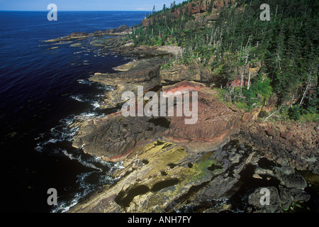 Antenna della Haida Gwaii, British Columbia, Canada. Foto Stock