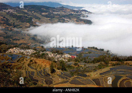 Un appositamente irrigate o inondato il campo dove si coltiva il riso. Foto Stock