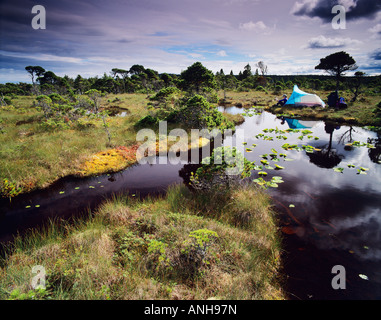 Campeggio in muskeg naikoon provincial park, Haida Gwaii, British Columbia, Canada. Foto Stock