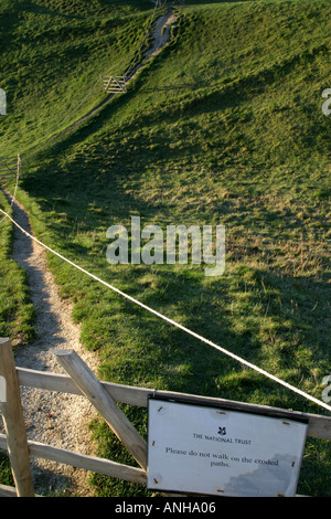 Recinzioni bloccando l'accesso ai percorsi eroso ad Avebury Henge nel Wiltshire Foto Stock