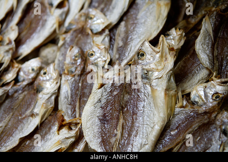 Mercato Tai Po di Hong Kong, Cina, Asia. Piatti di pesce essiccato. Foto Stock
