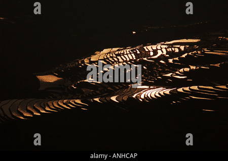 Un appositamente irrigate o inondato il campo dove si coltiva il riso. Foto Stock