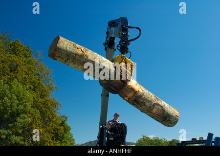 Caricamento di un log. Foto Stock