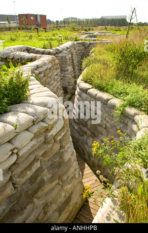 WW1 Yorkshire trincea e piroga sito archeologico vicino a Ypres Belgio Foto Stock