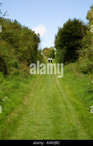 Il Sunken Road vicino a Beaumont Hamel sulle somme in Francia con le figure per la scala Foto Stock