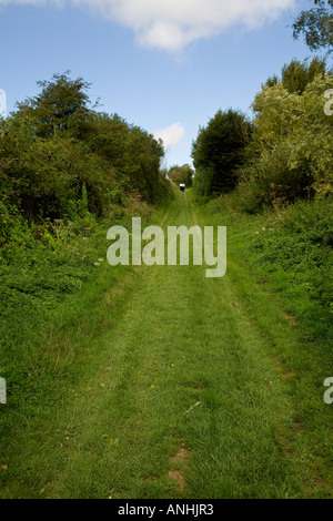 Il Sunken Road vicino a Beaumont Hamel sulle somme in Francia con figure in distanza per la scala Foto Stock