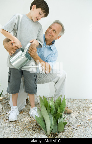 Ragazzo di irrigazione di piante all'aperto con il nonno, entrambi sorridente Foto Stock