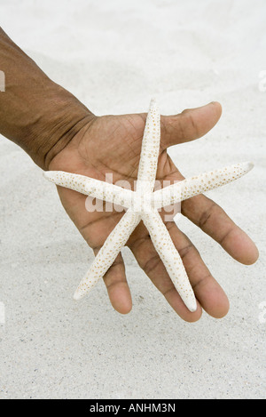 Mano azienda starfish, close-up Foto Stock