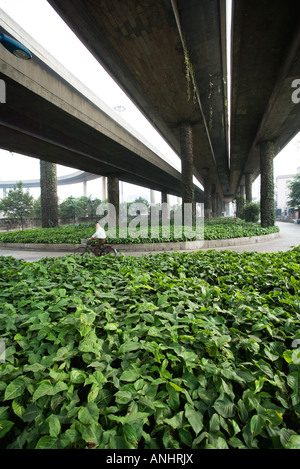 Ciclista pedalando attraverso lo spazio verde sotto il cavalcavia Foto Stock