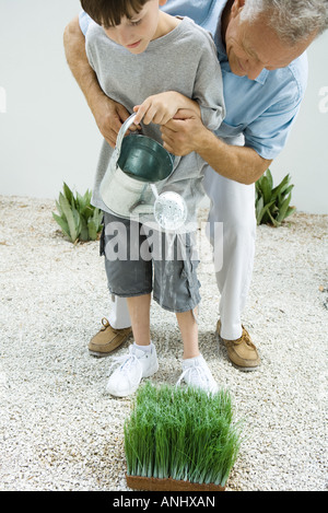 Nonno e nipote di irrigazione di erba di frumento insieme Foto Stock