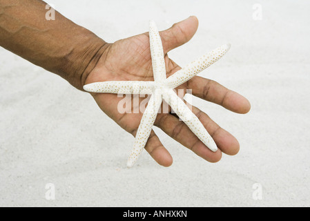 Mano azienda starfish, close-up Foto Stock