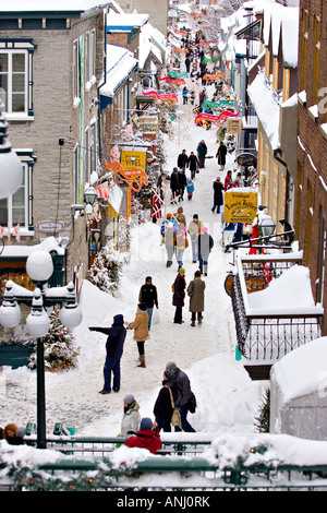 Le coperte di neve rue du Petit Champlain street è vivace con i passeggini e gli acquirenti durante il periodo di Natale Foto Stock