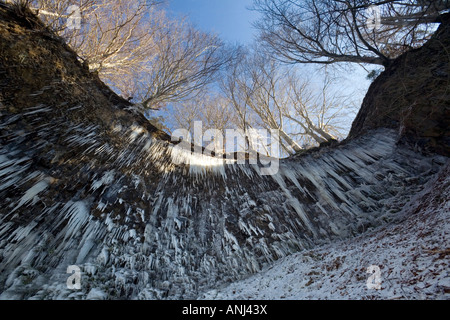 Le stalattiti sul Entraigues cascata impostazione, in inverno (Francia). Stalattiti sur le site de la cascata d'Entraigues en hiver. Foto Stock