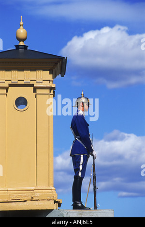 Guardia al Palazzo Reale di Stoccolma Svezia Foto Stock