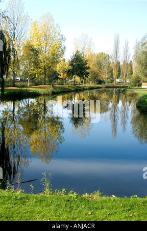 Autunno riflessioni Aquadrome di fatturazione Foto Stock