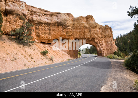 Il tunnel per il Parco Nazionale di Bryce Canyon Foto Stock