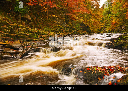 Il fiume Divie come entra il fiume Findhorn in autunno Foto Stock