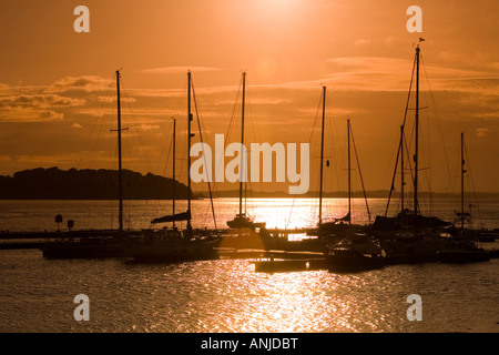 Regno Unito Irlanda del Nord la contea di Down Portaferry Strangford Lough tramonto sul nuovo marina Foto Stock