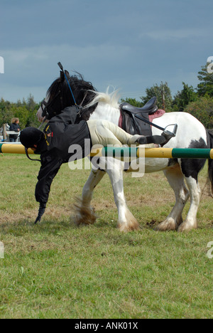 Rider essendo generata dalla caduta di cavallo a metà in aria Foto Stock