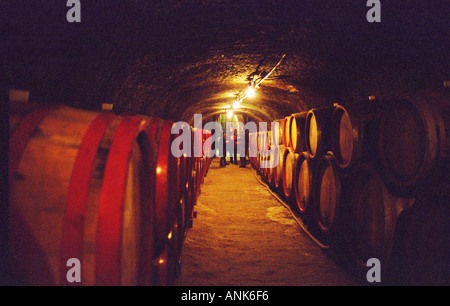 Il Tibor Gal (GIA) cantina in Eger (famosa per Egri Bikaver): gallerie sotterranee con righe di botti piene di vino e alcune persone sotto una luce. Tibor Gal è uno dei principali coltivatori e produttori di vino in Eger. La società è stata fondata nel 1993 in collaborazione con Nicolò Incisa della Rochetta (Sassicaia, Italia) ed Alpino dalla Germania Foto Stock