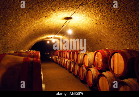 Il Tibor Gal (GIA) cantina in Eger (famosa per Egri Bikaver): gallerie sotterranee con righe di botti piene di vino. Un nuovo tunnel scavato di recente. Tibor Gal è uno dei principali coltivatori e produttori di vino in Eger. La società è stata fondata nel 1993 in collaborazione con Nicolò Incisa della Rochetta (Sassicaia, Italia) ed Alpino dalla Germania Foto Stock