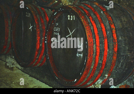 Il Tibor Gal (GIA) cantina in Eger (famosa per Egri Bikaver): gallerie sotterranee con righe di botti piene di vino. Tibor Gal è uno dei principali coltivatori e produttori di vino in Eger. La società è stata fondata nel 1993 in collaborazione con Nicolò Incisa della Rochetta (Sassicaia, Italia) ed Alpino dalla Germania Foto Stock