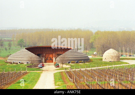 La cantina Disznoko in Tokaj: il famoso trattore garage costruito nel tipico ungherese stile organico, con vigneti. Foto Stock