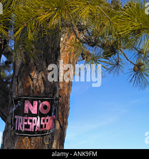 Nessun segno sconfinamenti sulla struttura ad albero Foto Stock