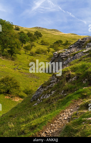 Vista dal vertice di Thorpe Cloud verso Lin Dale vicino Dovedale nel Parco Nazionale di Peak District Derbyshire Inghilterra Foto Stock